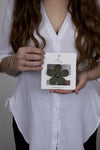Claw Clip -- Flower - Khaki