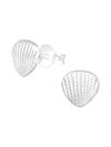 Silver Shell Stud Earrings