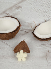Claw Clip - Small Flower - Ivory